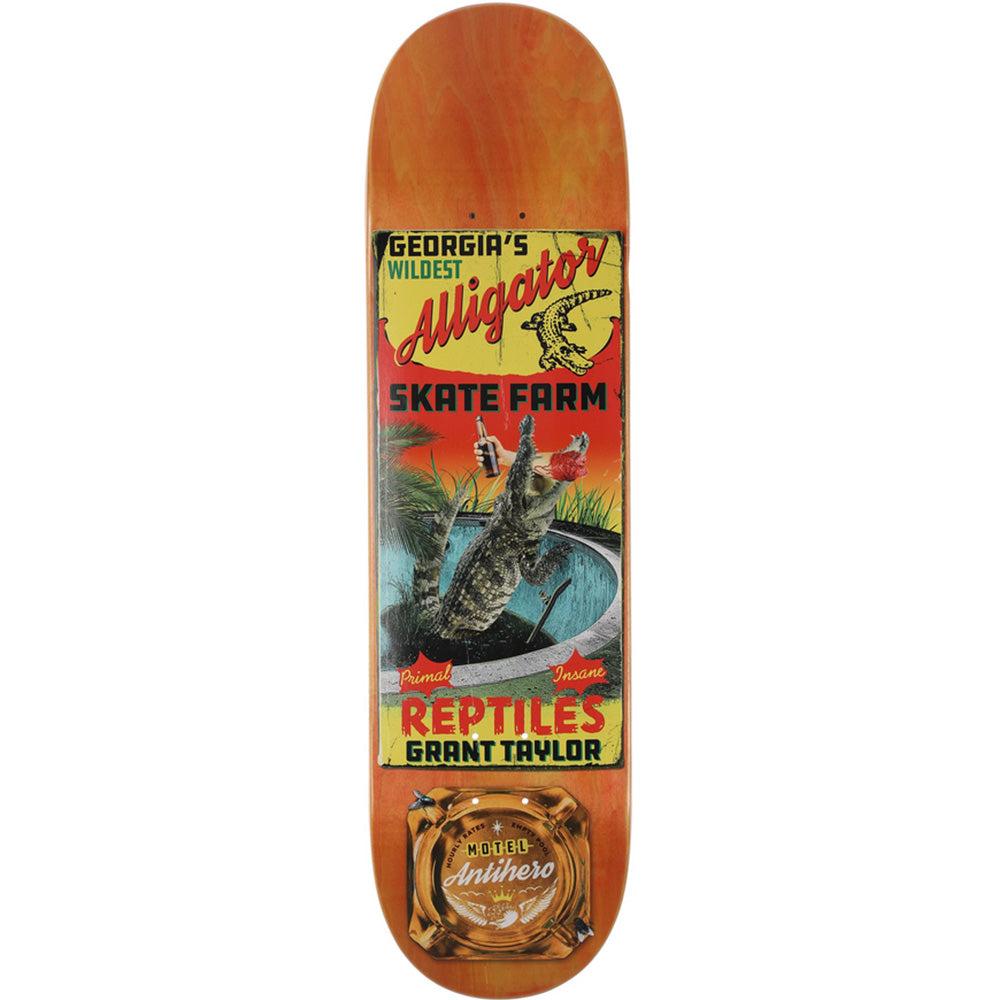 Anti Hero - Taylor Motel 18 Skateboard Deck